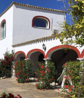 Viña Santa Petronila Torre
